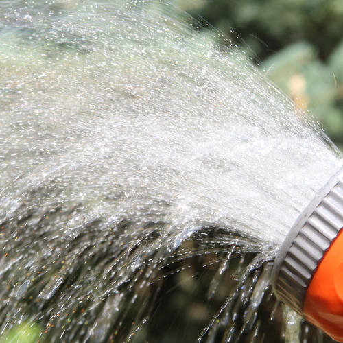 Gartentipp: Im Mai schon gießen, um Trockenheit auszugleichen